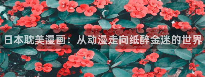 51漫画免费无删减第一漫画：日本耽美漫画：从动漫走向纸醉金迷的世界