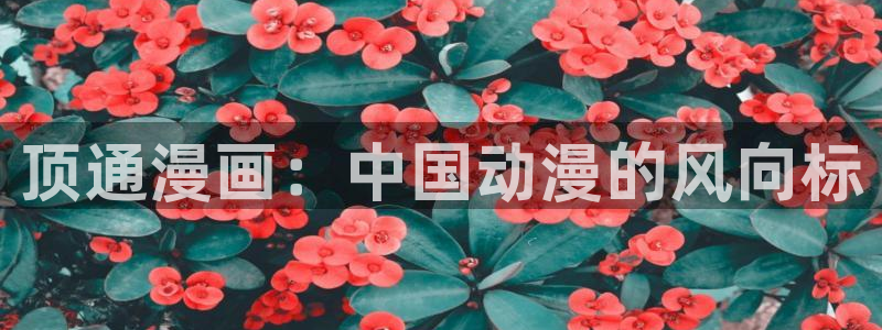 51漫画网站男同：顶通漫画：中国动漫的风向标