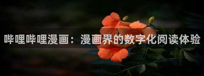 在哪里可以免费看51漫画：哔哩哔哩漫画：漫画界的数字化阅读体验