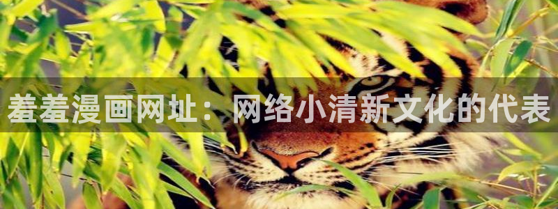 哪里可以看免费51漫画