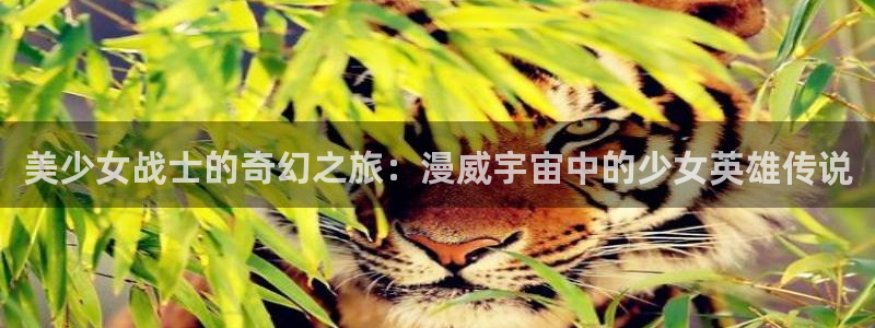 免费51漫画网址