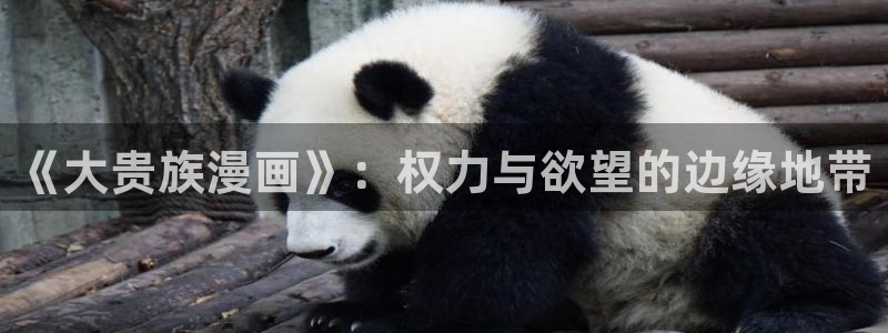 51漫画网站免费阅读全集下拉式 近期发布：《大贵族漫画》：权力与欲望的边缘地带