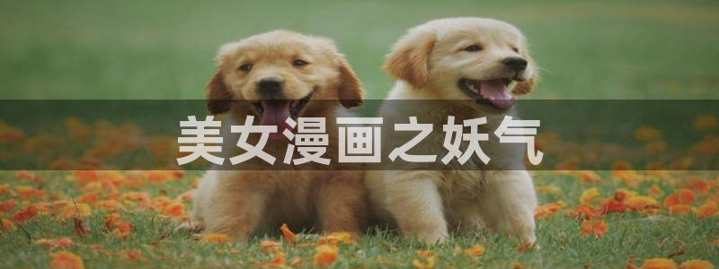 什么软件可以看51漫画画免费：美女漫画之妖气