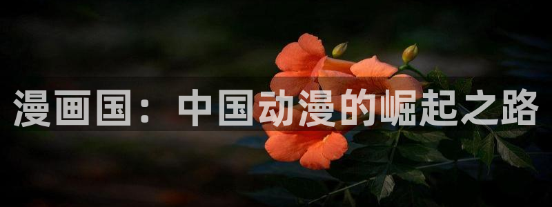 免费51漫画网站大全：漫画国：中国动漫的崛起之路