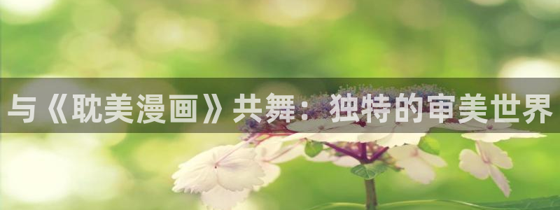 免费51漫画画大全：与《耽美漫画》共舞：独特的审美世界