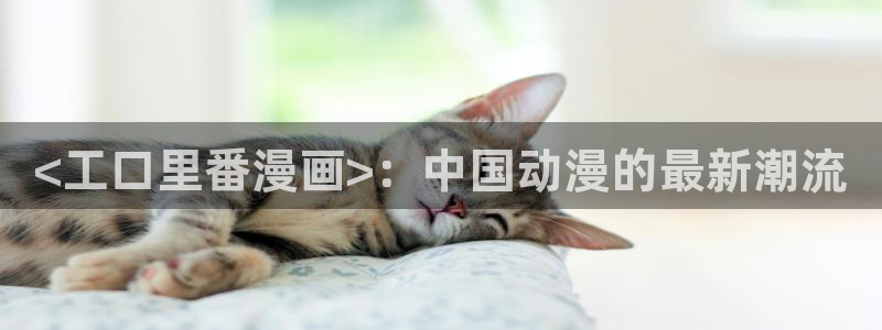 51漫画男男漫画网站：<工口里番漫画>：中国动漫的最新潮流